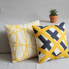 IndoorCalm Cushion Cover With Filling Pack of 2