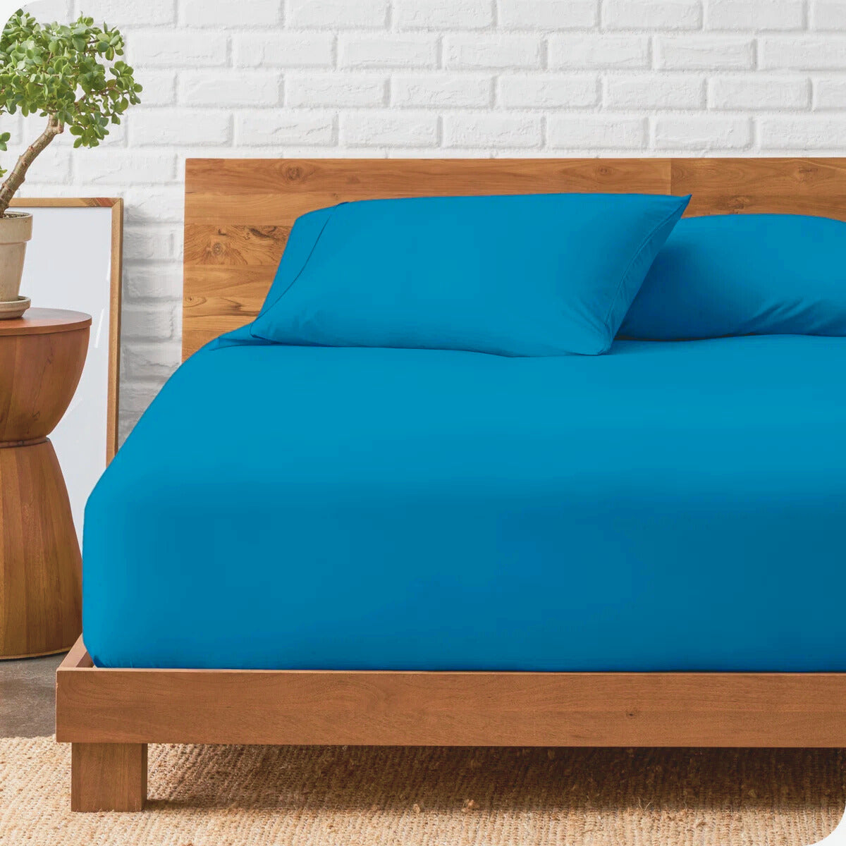 Cotton Fitted Sheet Double Bed