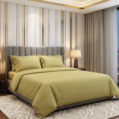 Olive Gold Pure Cotton Bedsheet Pack 3